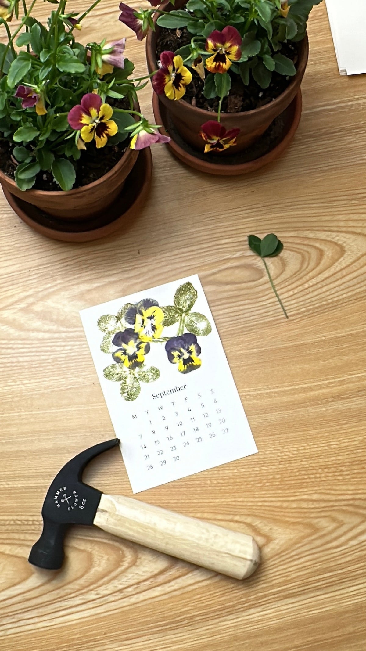 A Year in Bloom: Mini Watercolor Calendar