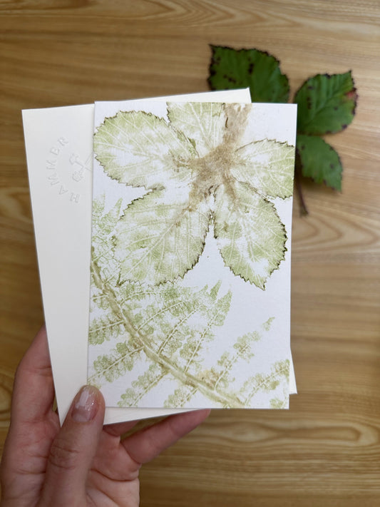 Fern and blackberry leaf. Watercolor paper