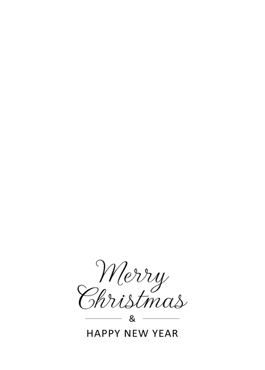 Merry Christmas & Happy New Year